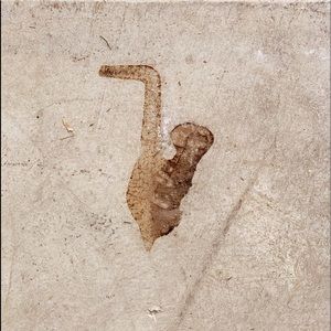 Meet your Posher, Nate